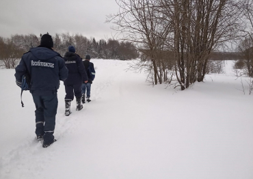 В Сергиевом Посаде спасатели вывели из лесу потерявшегося