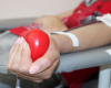 В Пушкино в больнице не хватает крови, требуются доноры