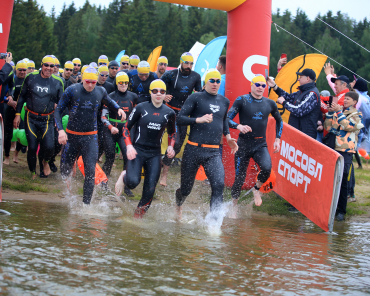 Этап кубка чемпионов «Swimcup» пройдёт в Мытищах