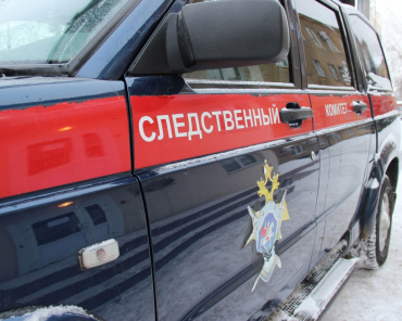 Бастрыкин взял на контроль дело об избиении подростков в Щёлкове