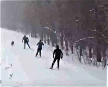 Участок веломаршрута ВЕЛО1 в Дмитрове стал лыжнёй