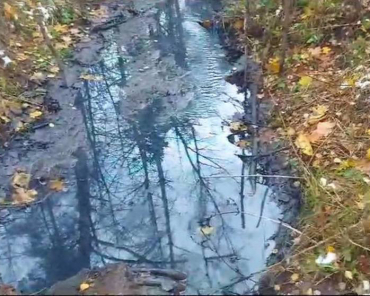 Уголовное дело возбуждено за загрязнение ручья в Ивантеевке