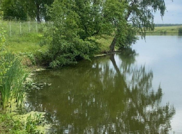 Участок земли с рекой могут изъять у собственника в Щёлкове