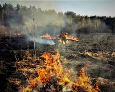 В мае в Подмосковье ликвидировали шесть лесных пожаров
