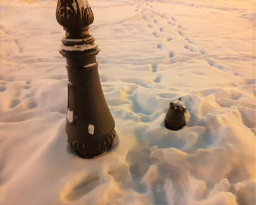 В Серпухове уровень снега измеряют уличными скульптурами