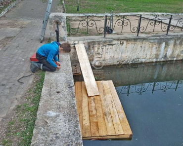 В Одинцове сломали плот, построенный жителями для бобрихи