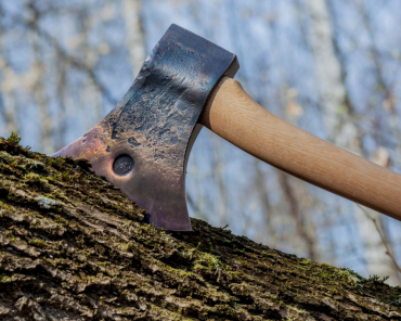 Уголовное дело возбуждено за вырубку деревьев в Щёлкове